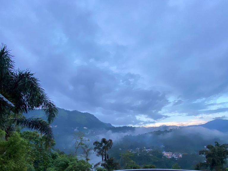 Munnar Blue Mist Bed & Breakfast Dış mekan fotoğraf