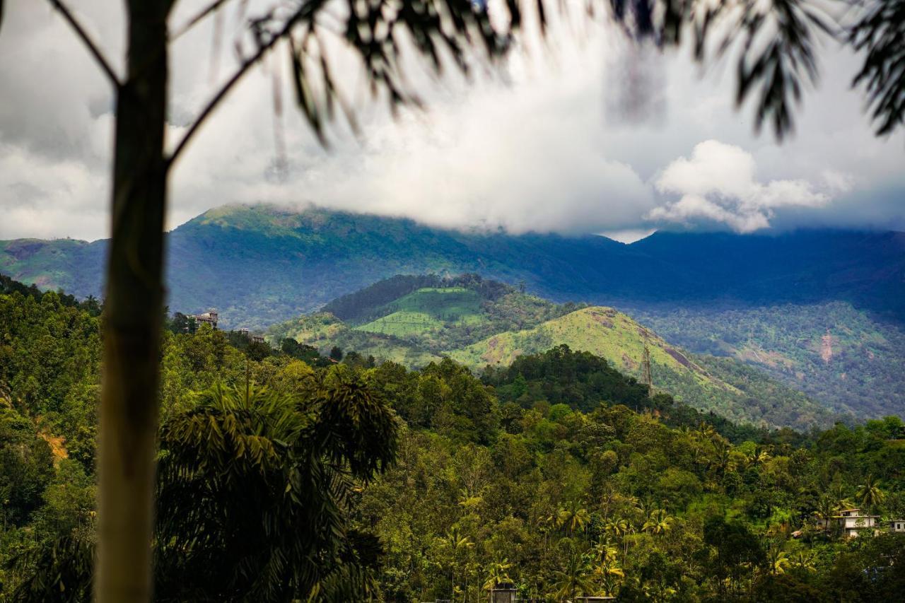 Munnar Blue Mist Bed & Breakfast Dış mekan fotoğraf