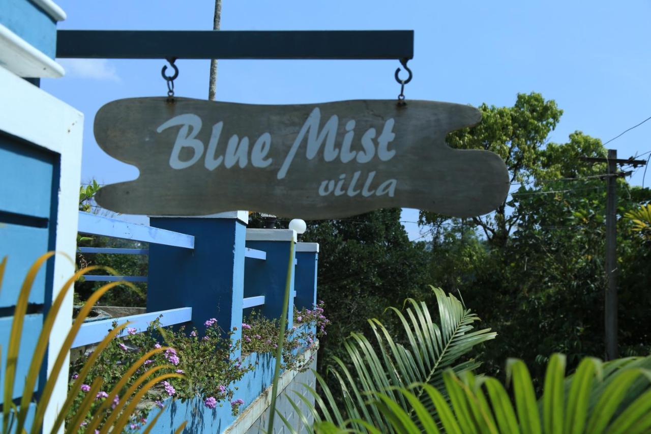 Munnar Blue Mist Bed & Breakfast Dış mekan fotoğraf